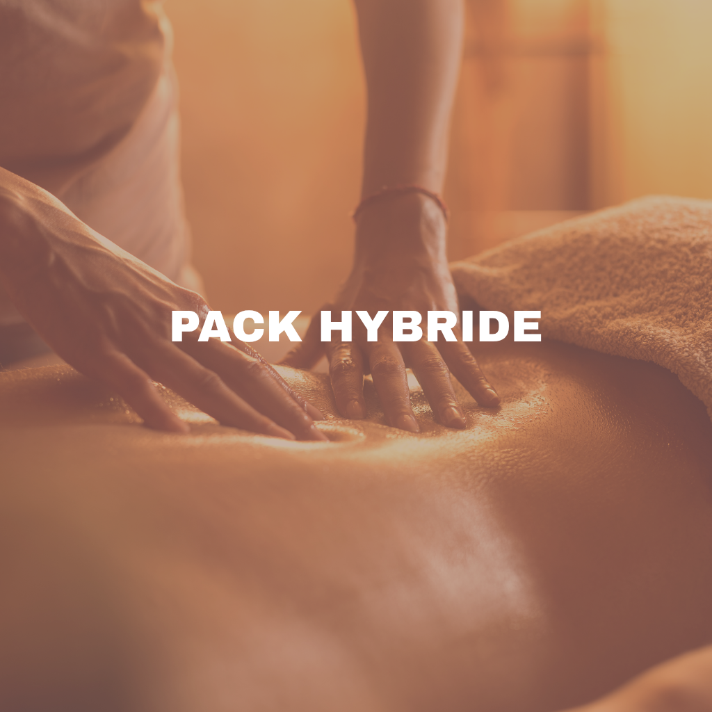 Pack Hybride